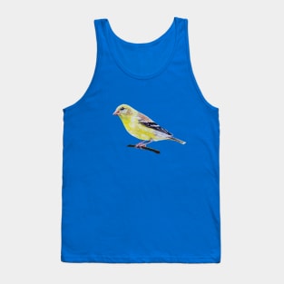 American Goldfinch painting (no background) Tank Top